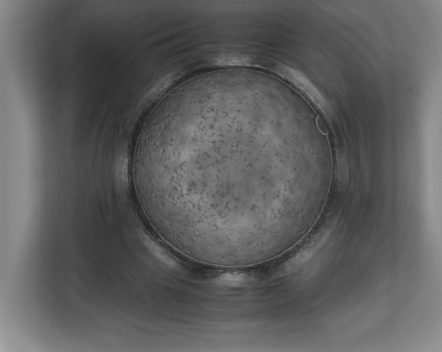 X0000111150441200907071112