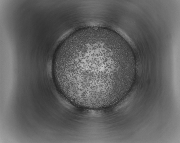 X0000111150442200907071112