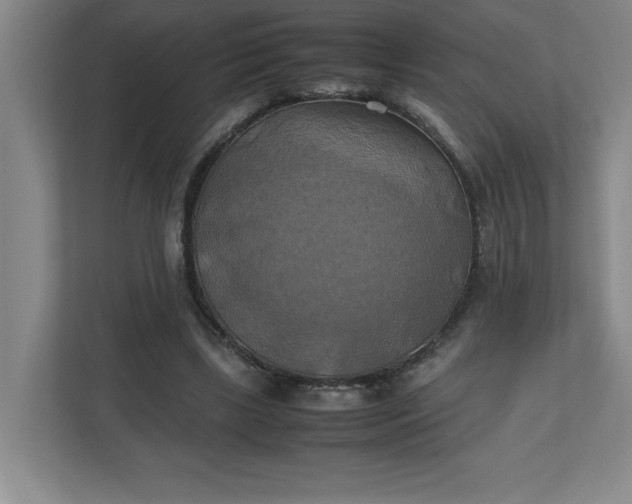 X0000111150443200907071112