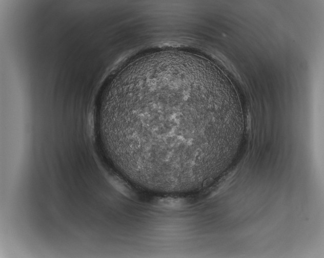 X0000111150444200907071112