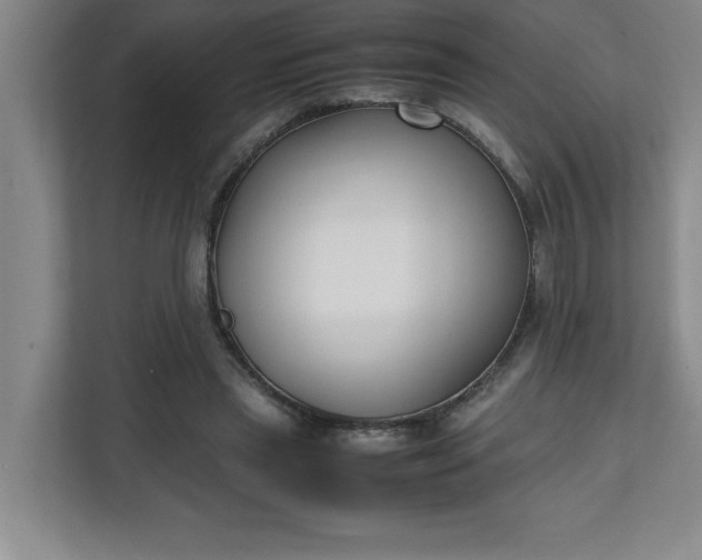 X0000111150445200907071112