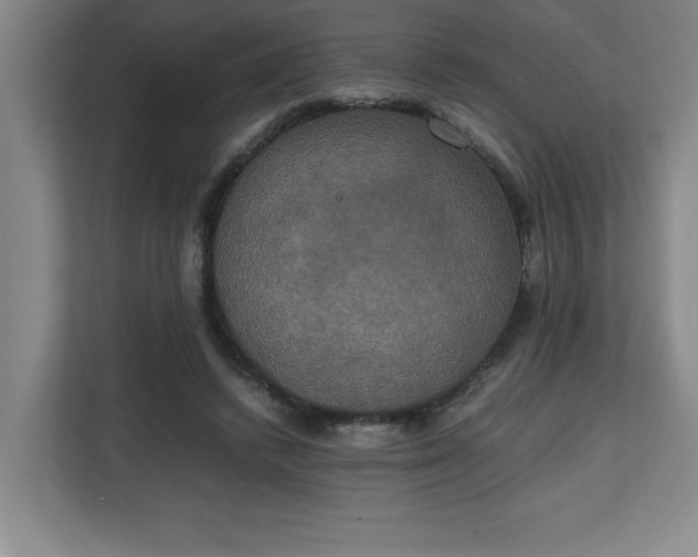 X0000111150448200907071112