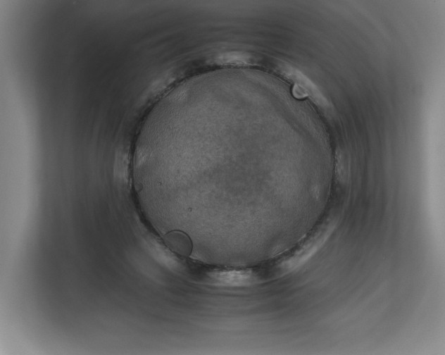X0000111150449200907071112