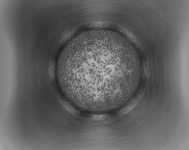 X0000111150450200907071112