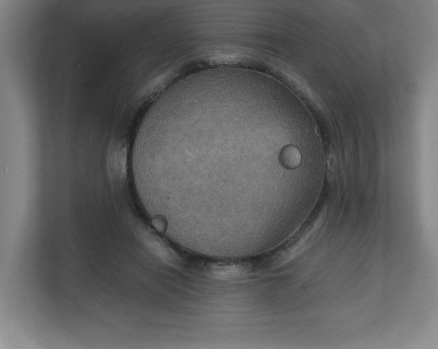 X0000111150454200907071112