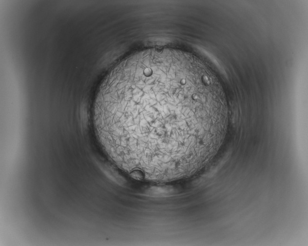 X0000111150455200907071112