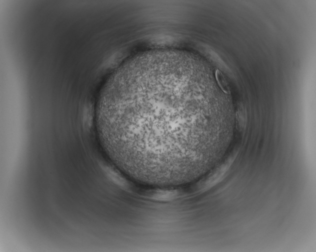 X0000111150458200907071112