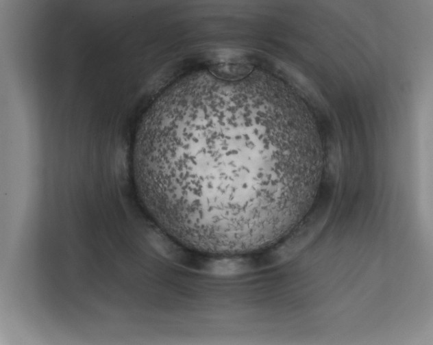 X0000111150461200907071112