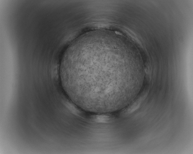 X0000111150462200907071112
