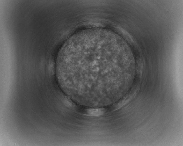 X0000111150465200907071112