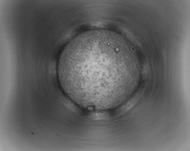 X0000111150466200907071112