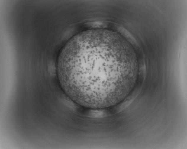 X0000111150469200907071112