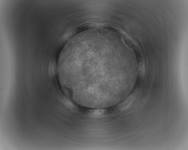 X0000111150474200907071112