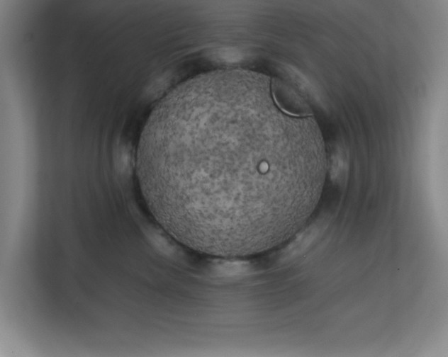 X0000111150476200907071112