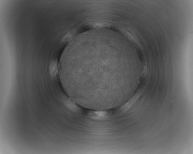 X0000111150478200907071112