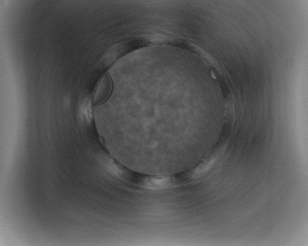 X0000111150479200907071112