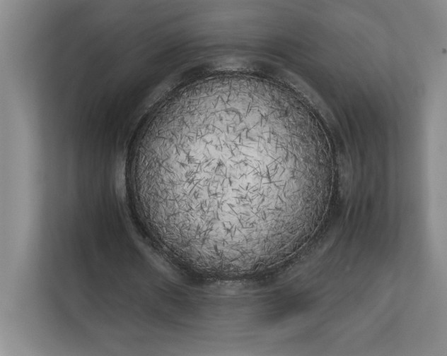 X0000111150482200907071112