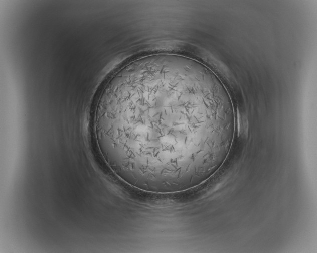 X0000111150483200907071112