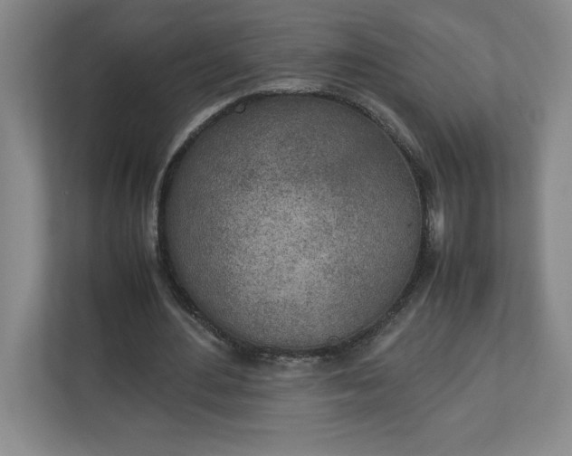 X0000111150484200907071112