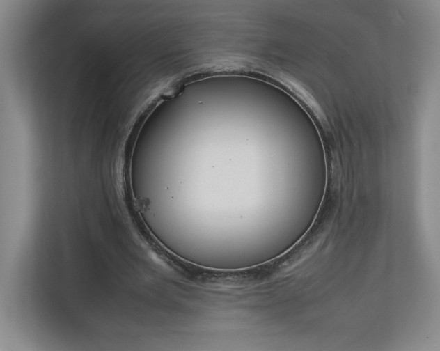 X0000111150485200907071112