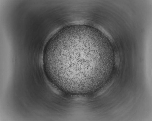 X0000111150486200907071112