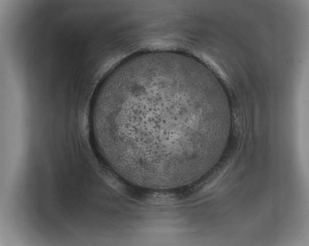 X0000111150487200907071112