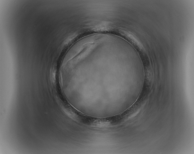 X0000111150491200907071112