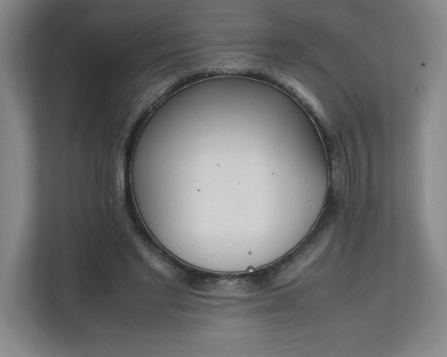 X0000111150493200907071112