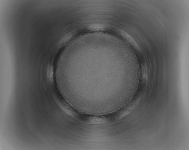 X0000111150494200907071112