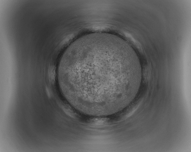 X0000111150495200907071112