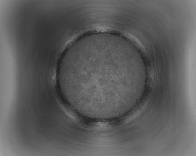 X0000111150496200907071112