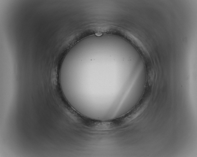 X0000111150497200907071112