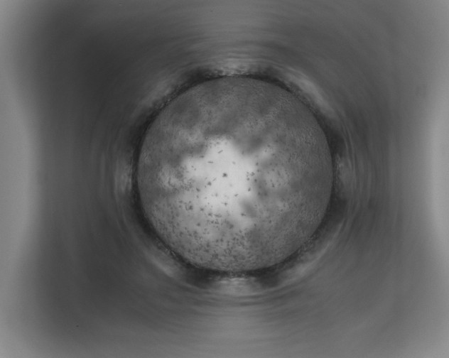 X0000111150499200907071112