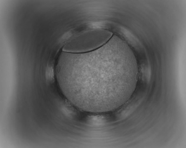 X0000111150500200907071112