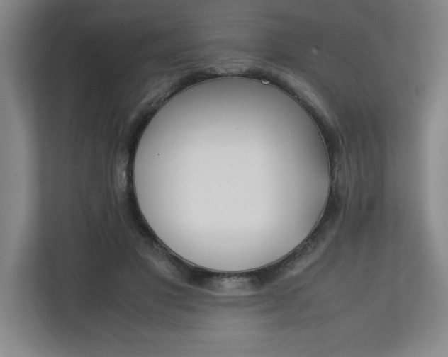 X0000111150501200907071112