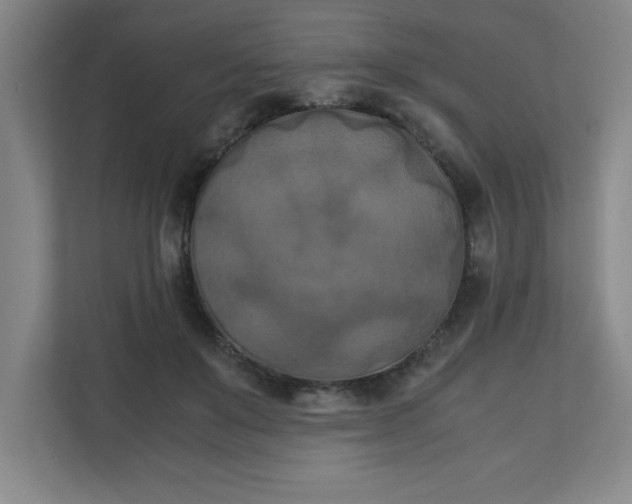X0000111150503200907071112