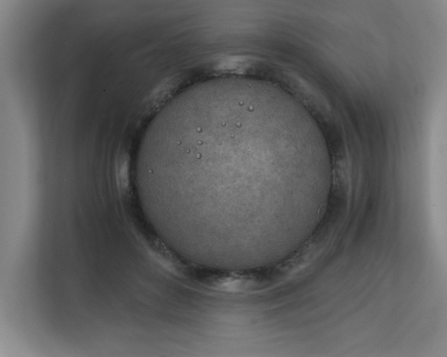 X0000111150504200907071112