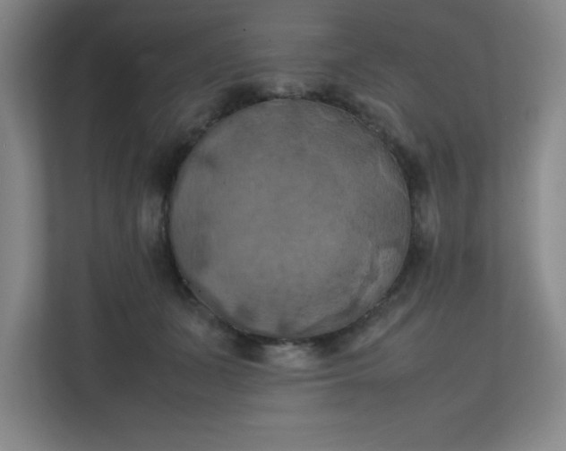 X0000111150511200907071111