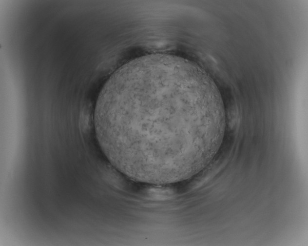 X0000111150515200907071111