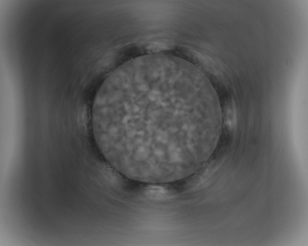 X0000111150519200907071111