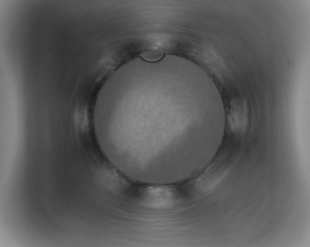X0000111150520200907071111