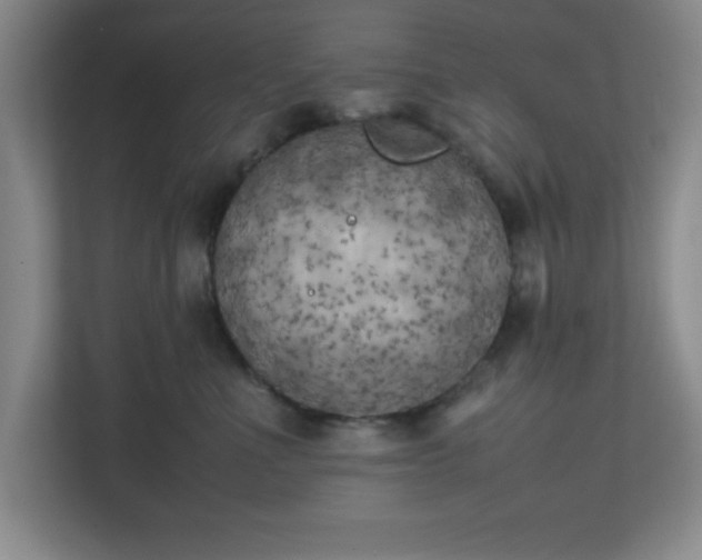 X0000111150523200907071111