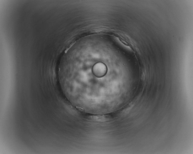 X0000111150524200907071111
