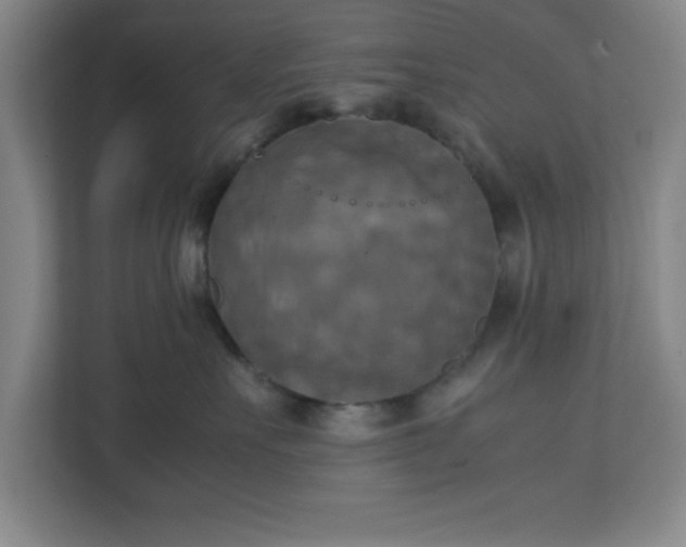 X0000111150527200907071111