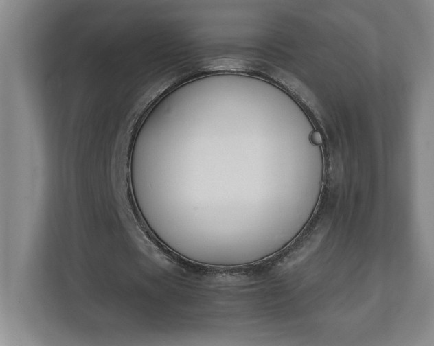 X0000111150529200907071111