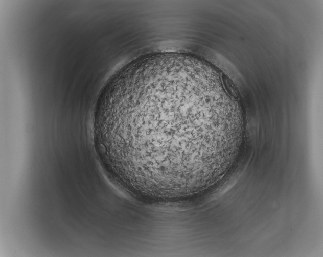 X0000111150530200907071111