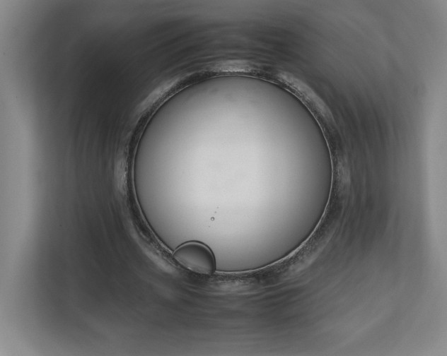 X0000111150533200907071111