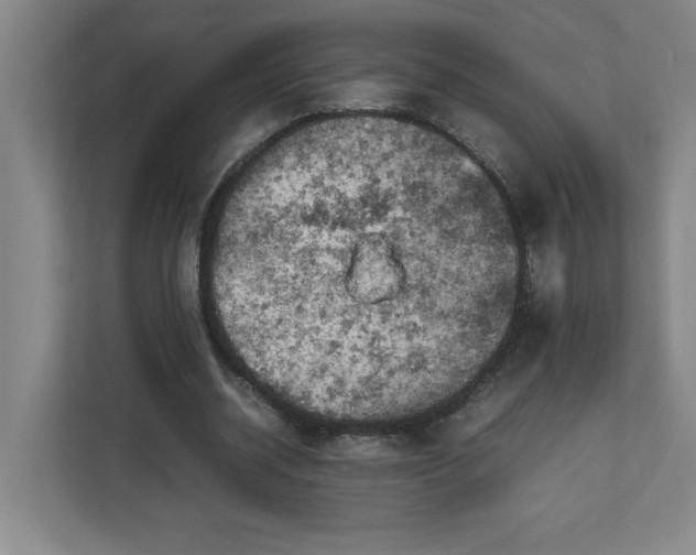 X0000111150534200907071111