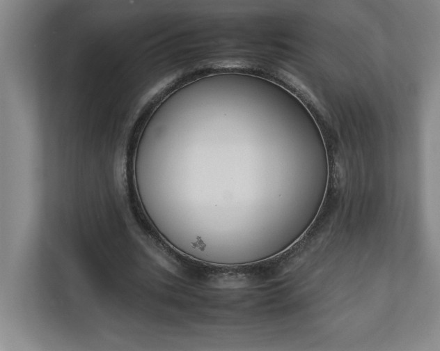 X0000111150535200907071111