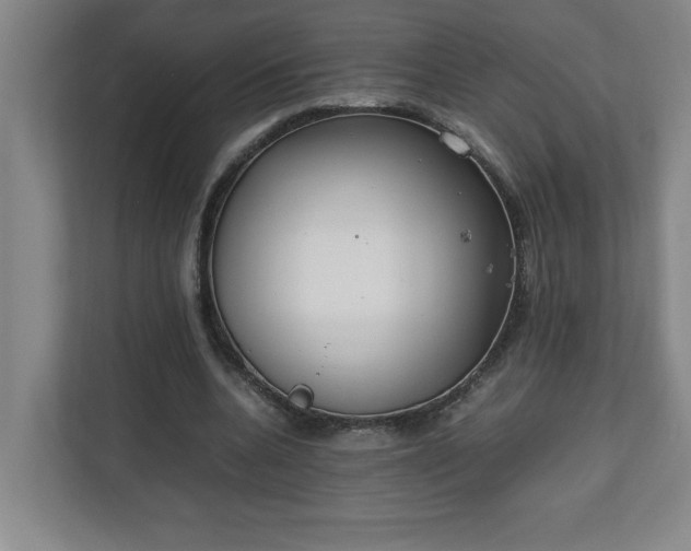 X0000111150536200907071111